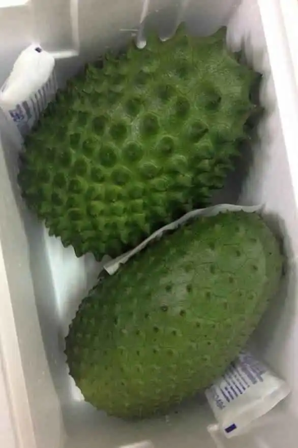 Guanabana
