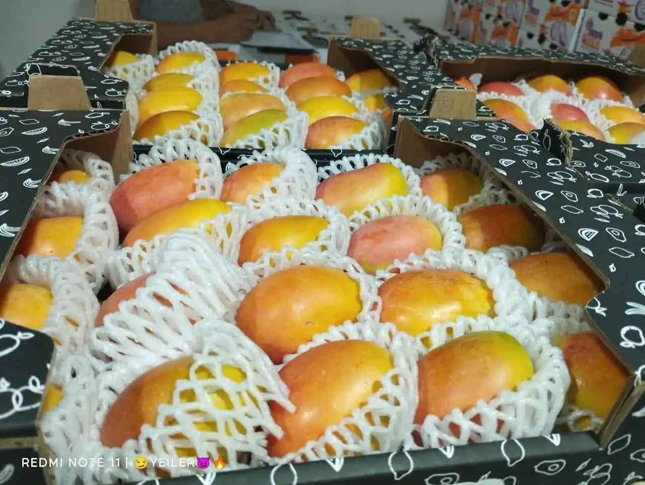 Baby Mango