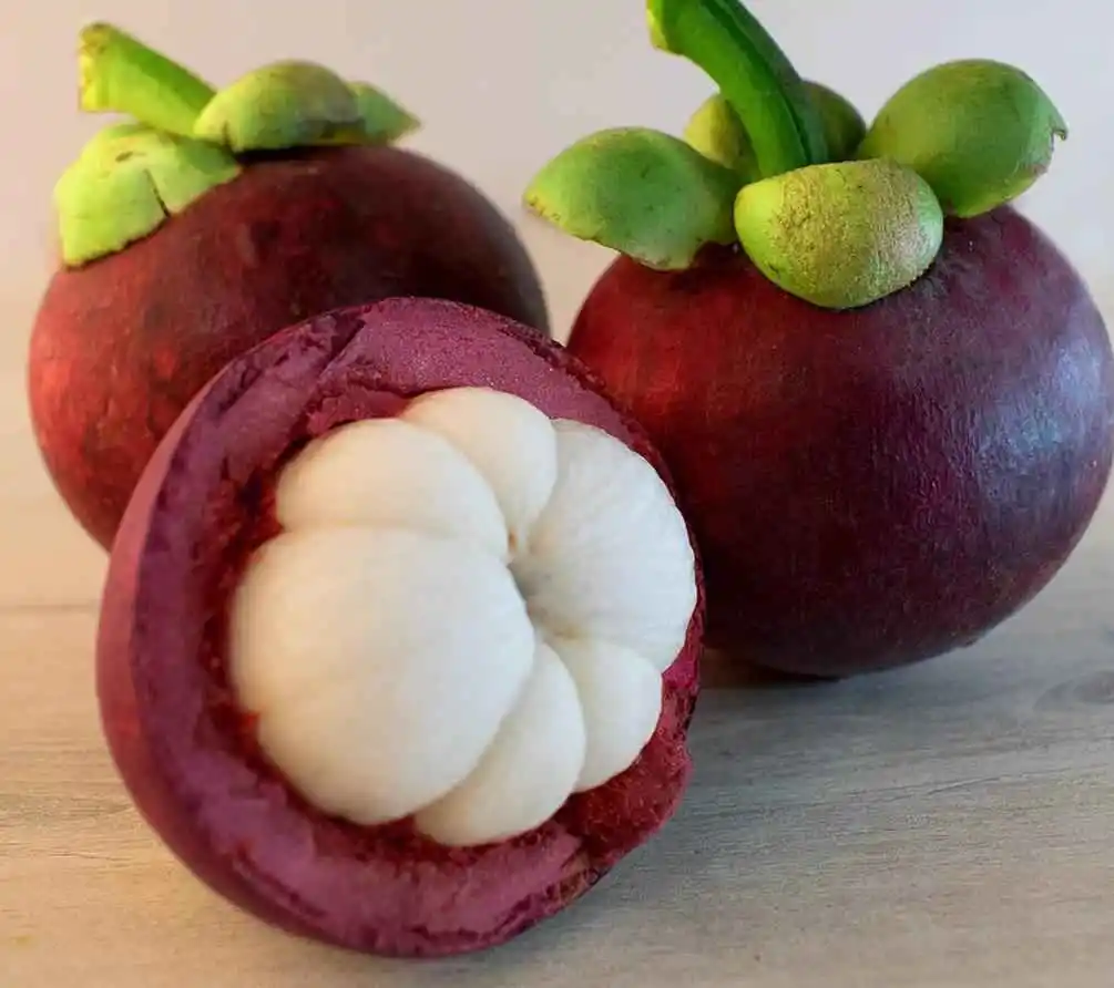 Mangostino