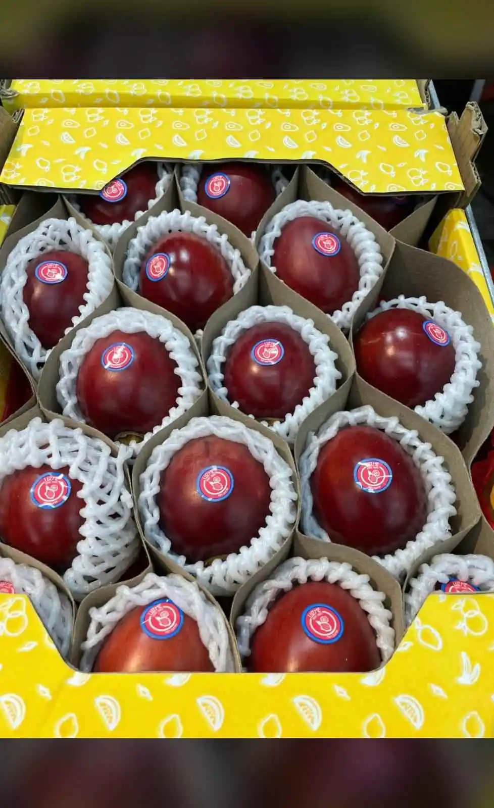 Tamarillo